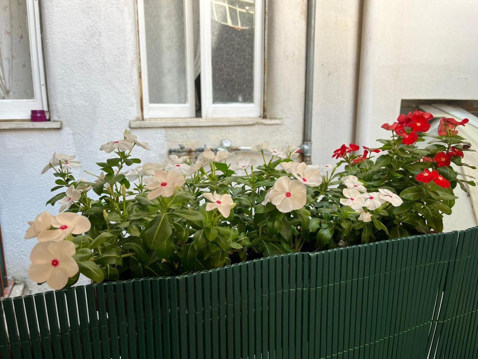 Frühstückspension Casa Dei Nonni Di Yuri Palermo